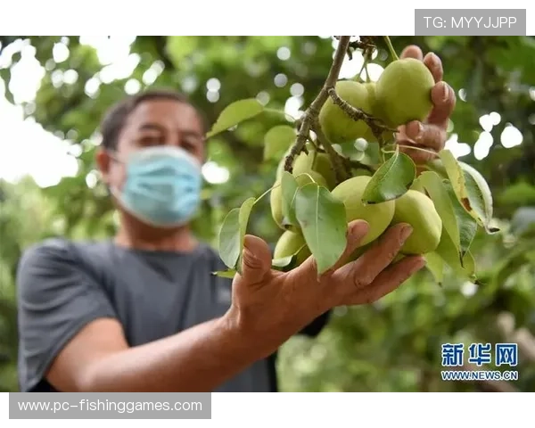智慧场馆碳积分交易启动，绿色收益渠道拓宽